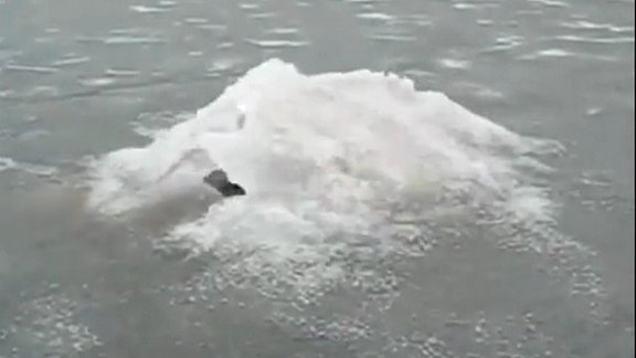 Loch Ness Monster from Russia