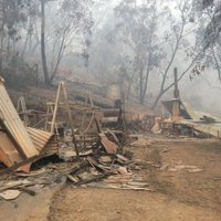 Bojāgājušo skaits Austrālijas ugunsgrēkos pieaudzis līdz 26