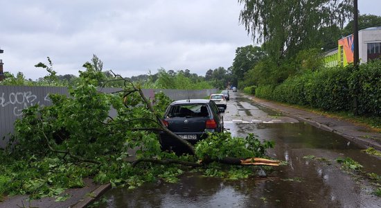 Koks sasita auto, lietus appludināja mājokli. Vai apdrošināšana palīdzēs?