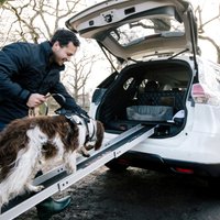 'Nissan X-Trail' speciāli suņiem ar iebūvētu dušu, fēnu un rampu