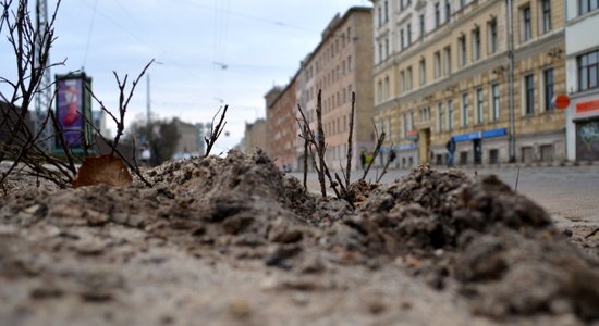 На ул. Барона вянут и сохнут зеленые насаждения, полиция не разрешает их поливать