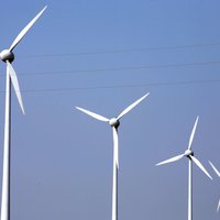 Инвестиции Latvenergo и LVM в создание ветряных парков составят миллиард евро