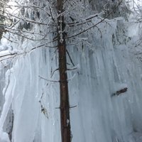 Foto: Aukstuma un ledus radītie mākslas darbi Cīrulīšu dabas takās