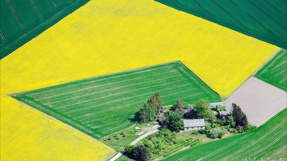 Zemgales līdzenumu saulainās rakstu spēles - 1