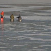 Эстония: полиция помогла заблудившемуся на льду латвийскому рыбаку