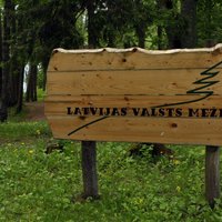 'Latvijas valsts meži' pērn nopelnījis 110 miljonus eiro