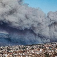 Foto: Čīlē plosās meža ugunsgrēki; evakuē tūkstošiem Valparaiso iedzīvotāju