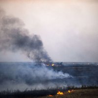 В Луганской области обстреляна колонна беженцев, много погибших