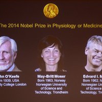 За открытие внутреннего GPS вручена Нобелевская премия по медицине