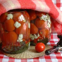 4 рецепта помидоров на зиму: аджика, сок, вяленые и с луком