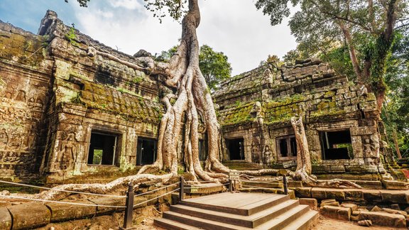 Ta Prohm templis, Kambodža