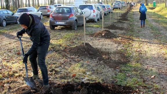 Rundāles pils parks