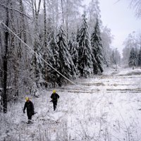 Spēcīgā vēja dēļ bez elektrības Latvijā 1600 mājsaimniecību