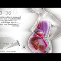 Video: Kā grūtniecības laikā pārkārtojas iekšējie orgāni