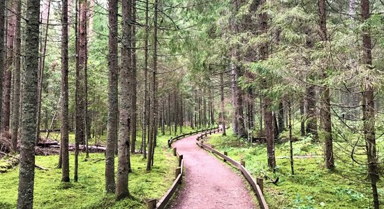 No 21. oktobra apmeklētājiem slēgtas Līgatnes dabas takas un vairāki dabas centri