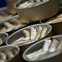 Nīcas zivju rūpnīca 'Piejūra' modernizācijā investē 5,2 miljonus eiro