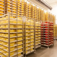 'Latvijas Piens' uzsācis siera eksportu uz Skandināviju