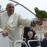 Foto: Romas pāvests svētījis papagaili