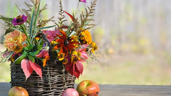 rudens ziedi kompozīcija floristika pušķis