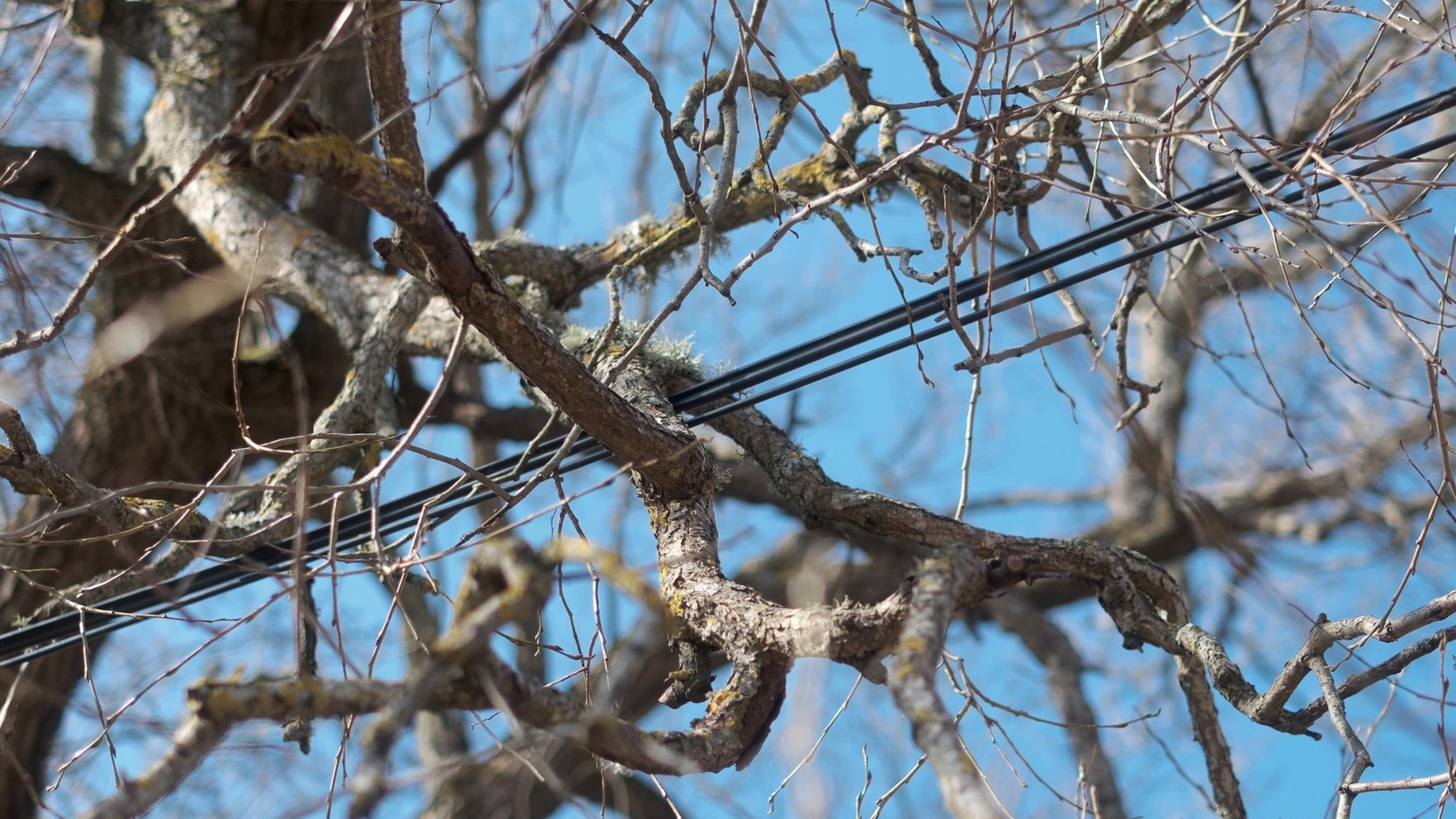 Stiprais vējš traucējis elektroapgādi ap 9000 