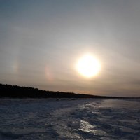 Сразу несколько очевидцев наблюдали гало вокруг Солнца