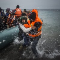 Нидерланды готовят план вывода ЕС из миграционного кризиса