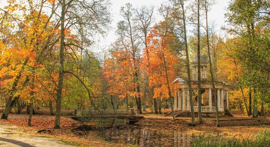 Krāšņi foto: Rudens zelta pielietais Ķemeru sanatorijas parks