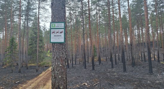 Обширный лесной пожар в Валке мог возникнуть по вине мотоциклистов