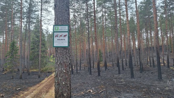 Meža ugunsgrēks Valkā