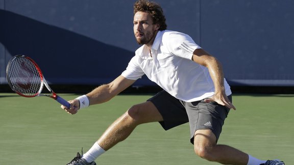 Gulbis