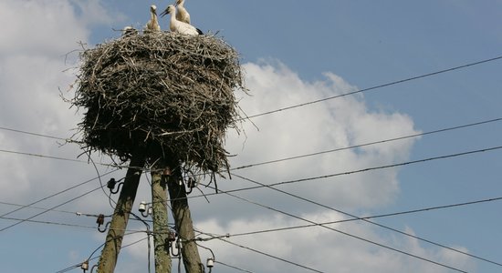 'Latvenergo' saglabās līdzdalību 'Liepājas enerģijā'