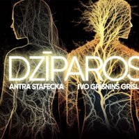 Ingars Viļums piedāvā jaunu dziesmu duetā – 'Dzīparos'