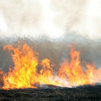Kūlas neprāts turpinās: Latvijā pirmdien reģistrēti 168 kūlas ugunsgrēki