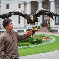 Pakrojas muižā starp ziediem mīt desmitiem plēsīgo putnu no visas pasaules