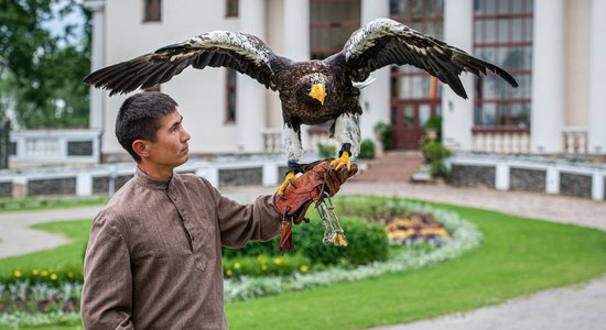 Pakrojas muižā starp ziediem mīt desmitiem plēsīgo putnu no visas pasaules