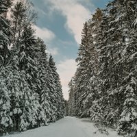 Foto: Sigulda ziemas spelgonī