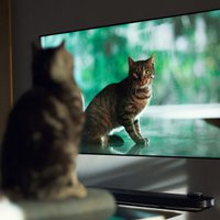Televizoru evolūcija – kā desmit gadu laikā mainījušies zilie ekrāni