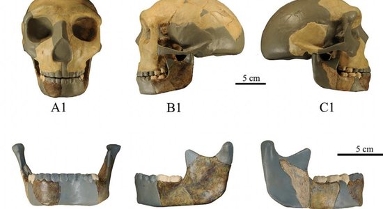 Vai jāpārraksta mūsu ciltskoks? Ķīnā atrod nezināma hominīna galvaskausu