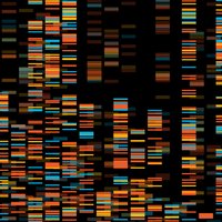 Генетик из Гарварда рассказал, почему каждому нужно сделать ДНК-тест и в чем секрет долголетия