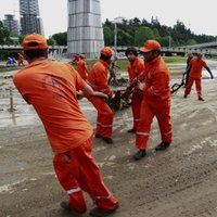 Latviete stāsta par Tbilisi ielās klīstošajiem zvēriem