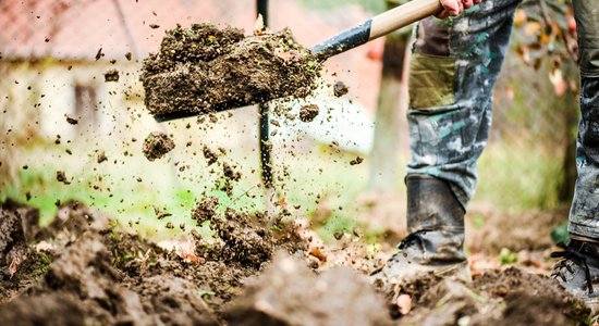 No aizliegtajiem augiem līdz dzīvei treilerā: 10 lasītākie 'Māja&Dārzs' raksti