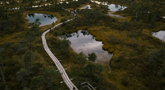 ФОТО. Лучшее место для осенних прогулок: Тропа Большого Кемерского болота