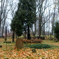 Оцифрованы данные о 800 тысячах захороненных на рижских кладбищах