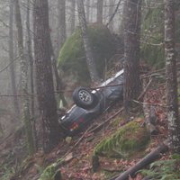 Foto: ASV meža biezoknī atrasts pirms 25 gadiem nozagts un avarējis 'Porsche'