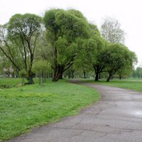 Zagļi un vandaļi pērn Rīgā lielākos postījumus nodarījuši Uzvaras parkam