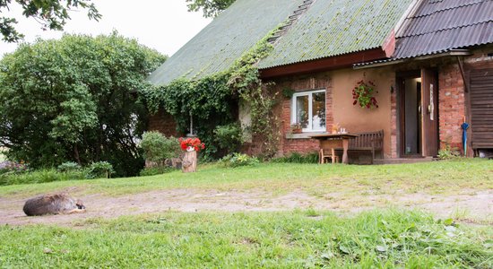 Lauku māja ar daudzkrāsainu vēsturi – stāsts par kādreizējās skolas atdzimšanu Vecaucē