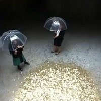 Venēcijas biennāle: Krievijas paviljonā apmeklētājus apber ar zelta monētām