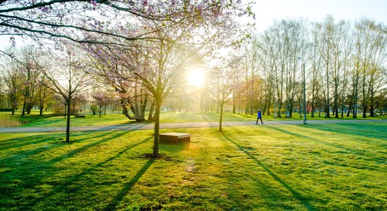 Lāčplēša dienas pasākumos Uzvaras parkā netiks iedegtas svecītes