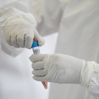 Коронавирус: США не хотят работать над вакциной с "коррумпированной ВОЗ", во Франции заболели нудисты
