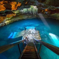 Velna ala Floridā – lieliska vieta, kur izzināt zemūdens pasauli